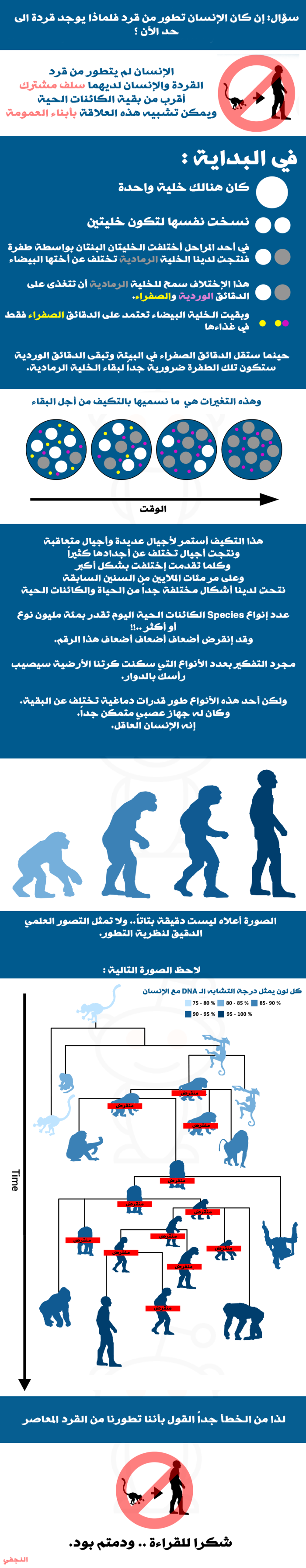 تطور القرد الى انسان